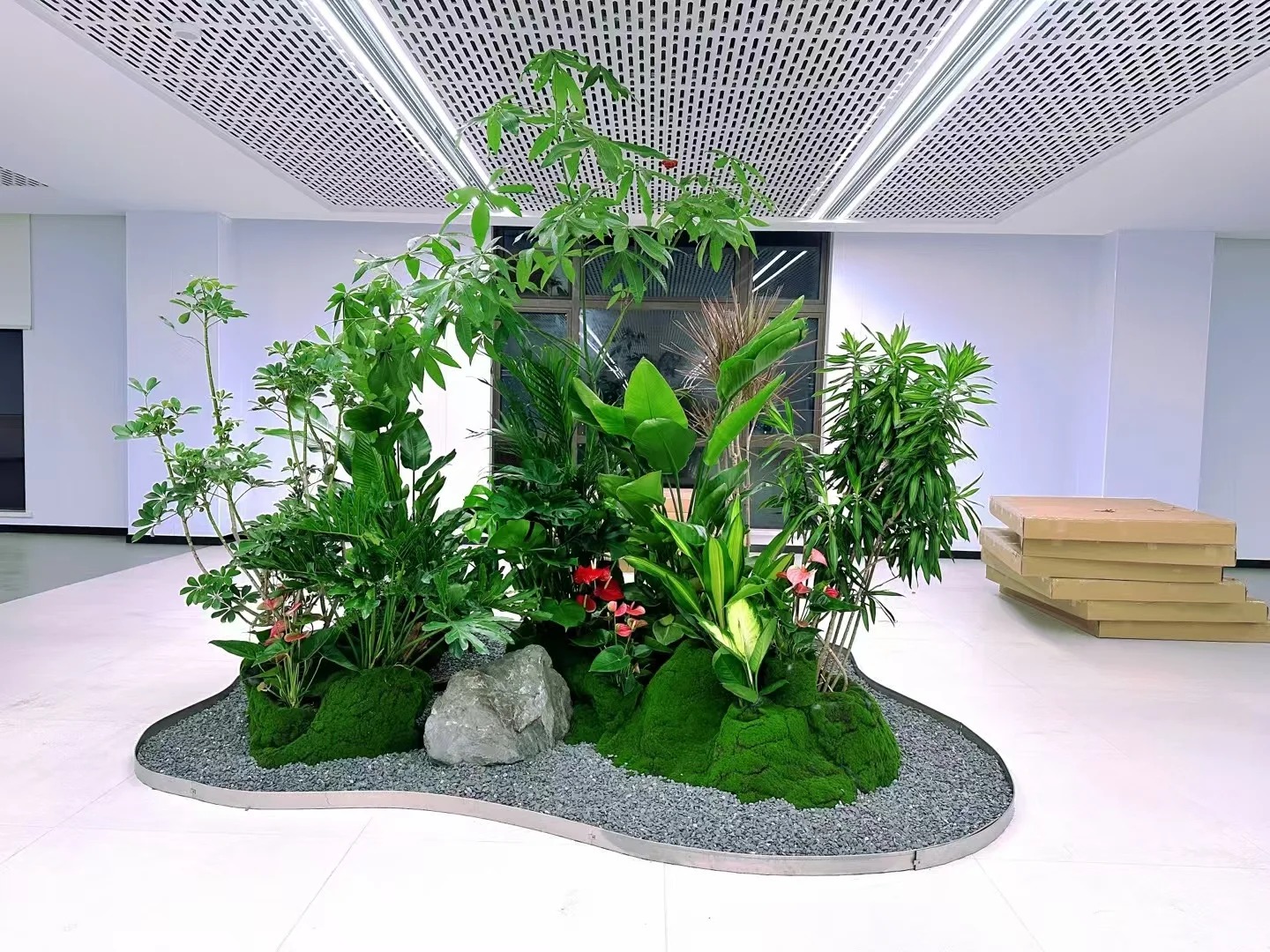 余姚盆景出租，享受便捷的绿植租赁服务